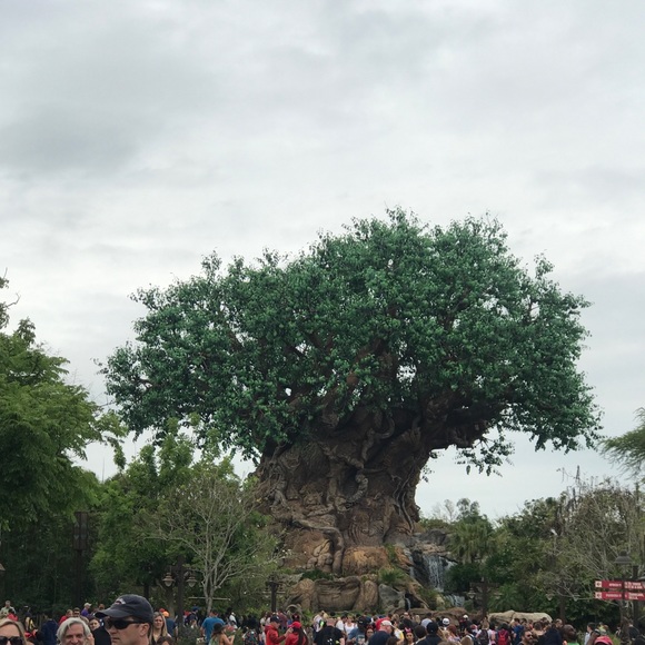 Meet your Posher, Rose - Picture 1 of 1